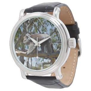 Big Male Australian Koala Bear Armbandsur