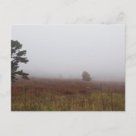 Big Meadows, Shenandoah National Park, Virginia Vykort