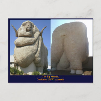 Big Merino Vykort