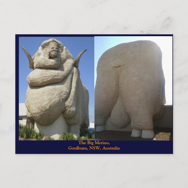 Big Merino Vykort (Framsida)