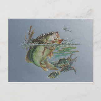 Big Mouth Bass Vykort