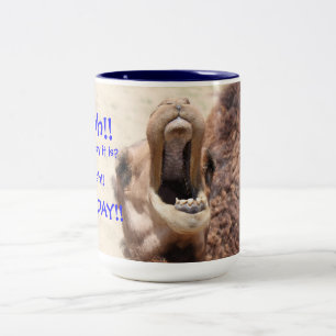 Big Mouthed Camel, Hump Day Blue Mugg