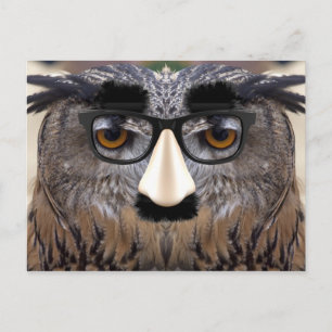 Big Nose Bird Vykort