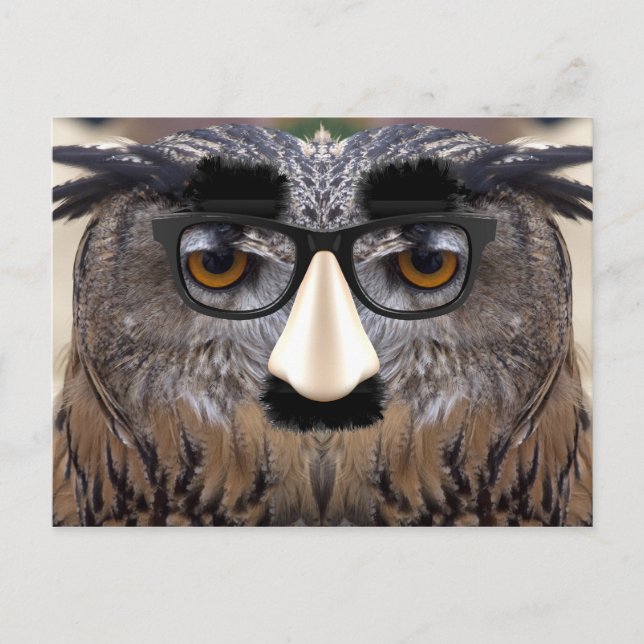 Big Nose Bird Vykort (Framsida)