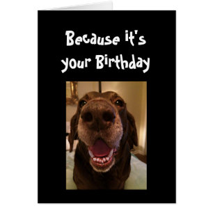 Big Nose Hund Funny Birthday Kärlek Hund Hälsningskort