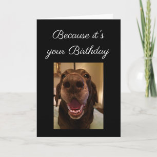 Big Nose Hund Funny Birthday Kärlek Hund Kort
