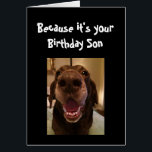 Big Nose Hund Funny Birthday Son Kärlek Hund Hälsningskort<br><div class="desc">Det är din födelsedag och jag näser det är därför du får det här kortet. Grattis på födelsedagen söt Roligt Big Nose Hund Animal roligt</div>