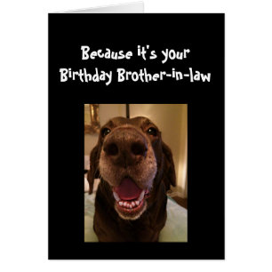 Big Nose Hund Funny BirthdayBrother-in-law-Hund Hälsningskort