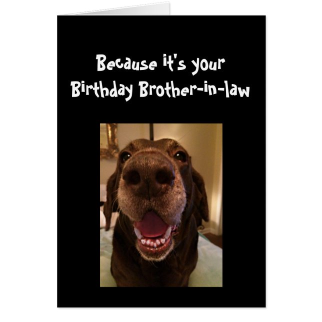Big Nose Hund Funny BirthdayBrother-in-law-Hund Hälsningskort (Framsidan)