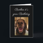 Big Nose Hund Funny Brother Birthday Kärlek Hund Kort<br><div class="desc">För det är din födelsedagsbroder och jag näser hur mycket du hatar dem.. Jag näser dig behöva lite kärlek. Skicka kärlek på födelsedagen</div>