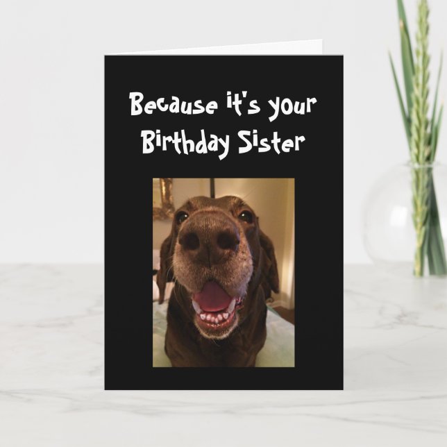 Big Nose-Hund Lusnyj Birthday Syster Kärlek Hund Kort (Framsida)