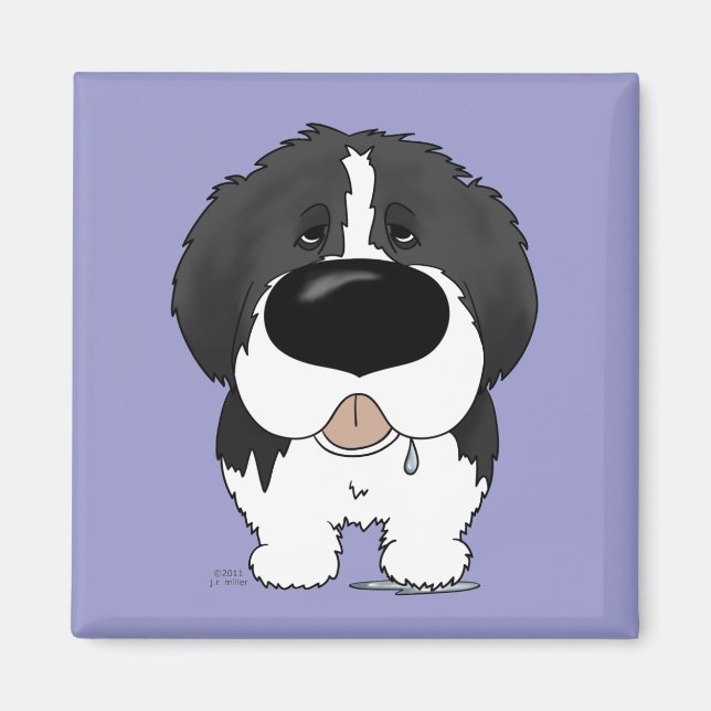 Big Nose Newfoundland Magnet (Framsidan)