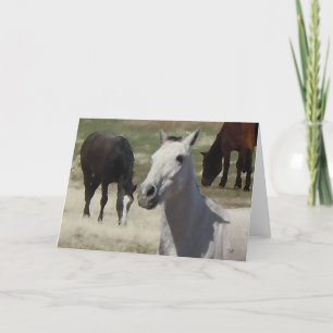 Big Ögon Söt Little Grått Grått Pony Herd Blank Kort