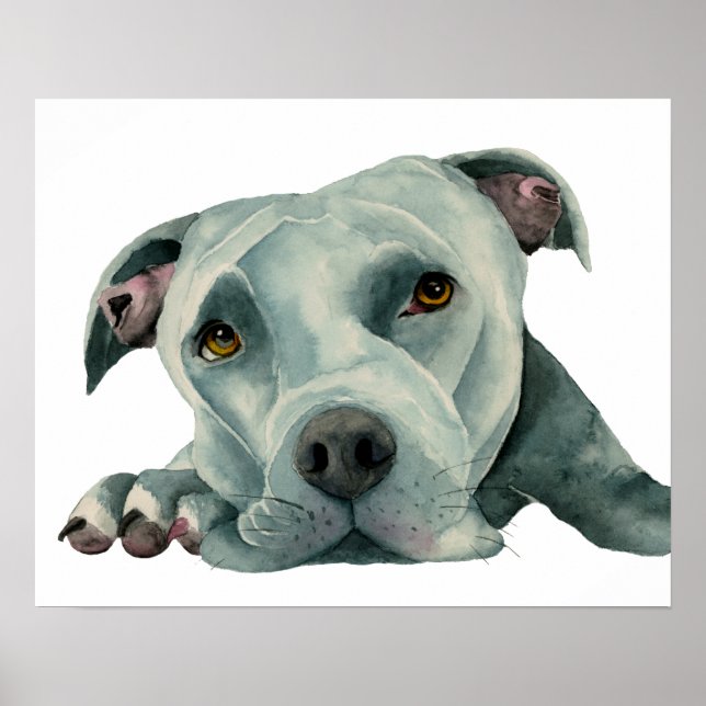 Big Ol-chef | Pit Bull Dog Watercolor Painting Poster (Framsidan)