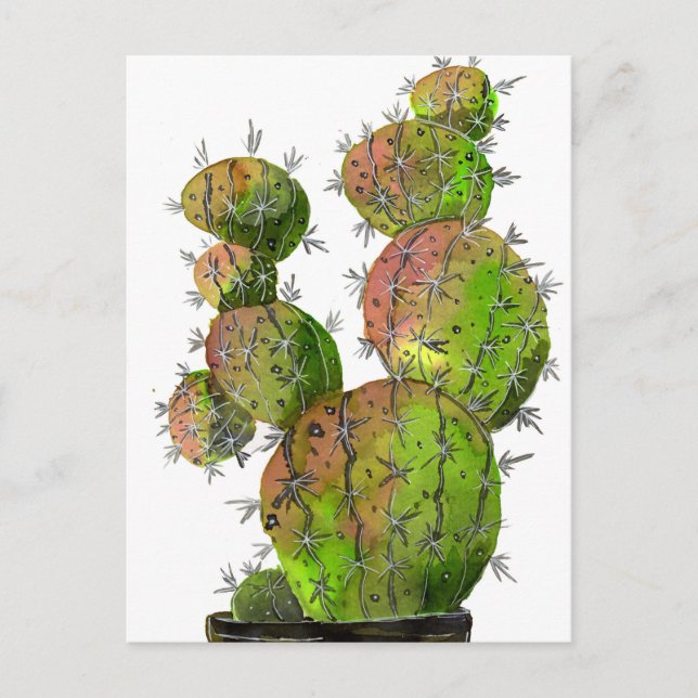 Big Old Stingy Cactus Vykort (Framsida)