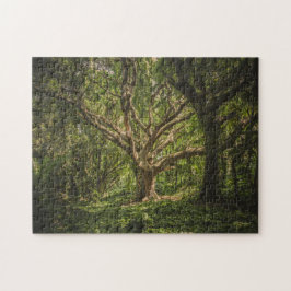 Big Old Träd i skogen Pussel