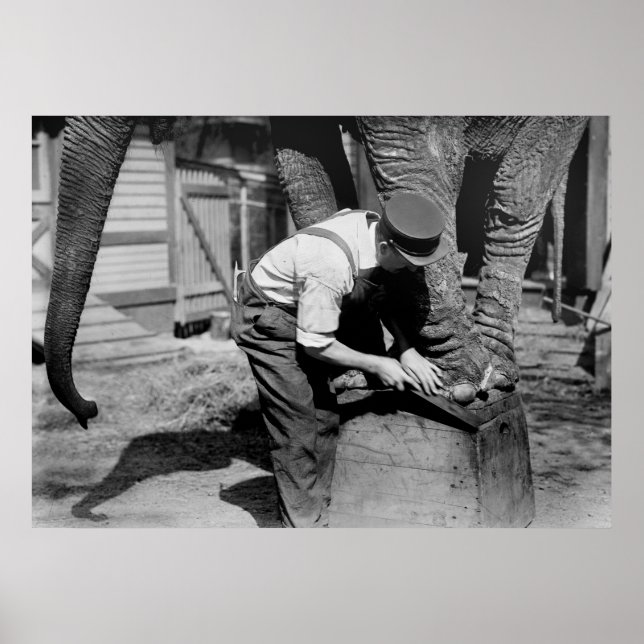 Big Pedicure, 1910-talet Poster (Framsidan)