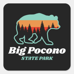 Big Pocono State Park PA Bear Retro-Vintage Fyrkantigt Klistermärke