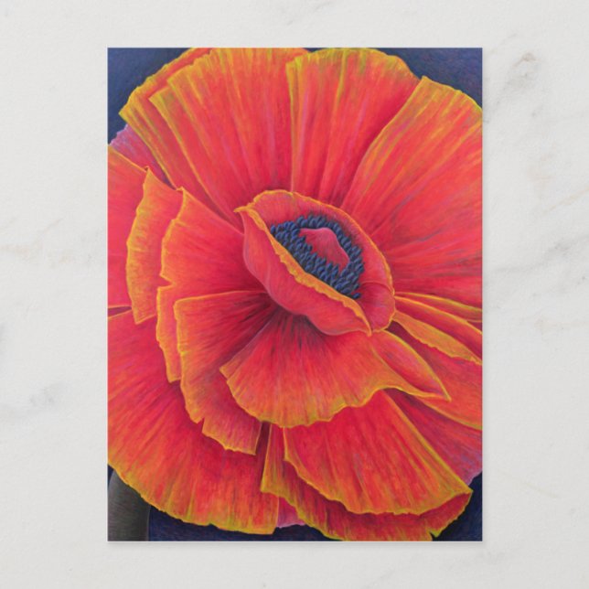 Big Poppy 2003 Vykort (Framsida)