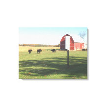 Big Red Barn and Cattle Pasture