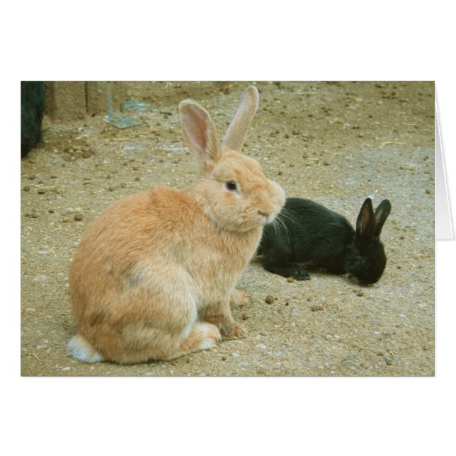 Big Red Bunny Hälsningskort (Framsidan Horizontal)