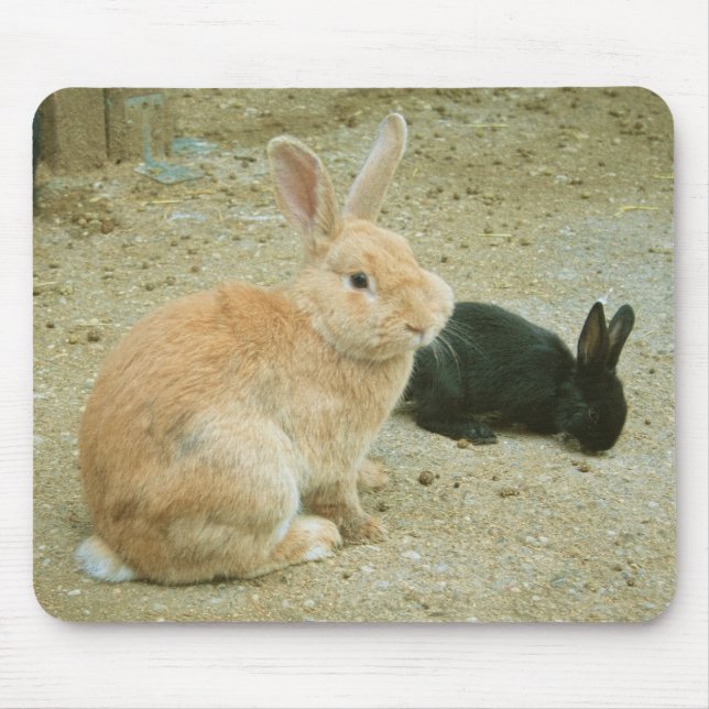 Big Red Bunny Musmatta (Framsidan)