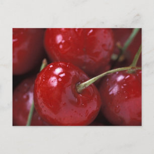 Big Red Cherries Vykort