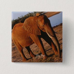 Big Red Elephant Knapp