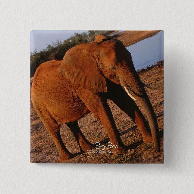 Big Red Elephant Knapp (Framsida)