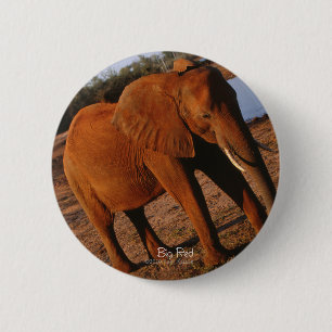 Big Red Elephant Knapp