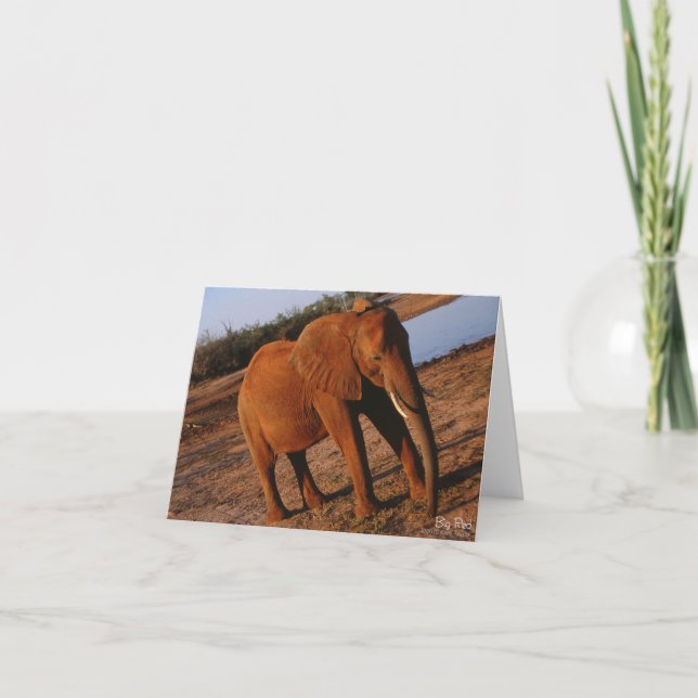 Big Red Elephant Note Card Kort (Framsida)