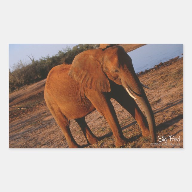 Big Red Elephant Stickers Rektangulärt Klistermärke (Framsida)