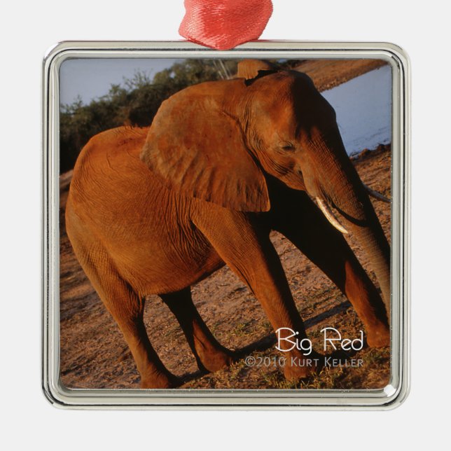 Big Red Julgransprydnad Metall (Framsidan)