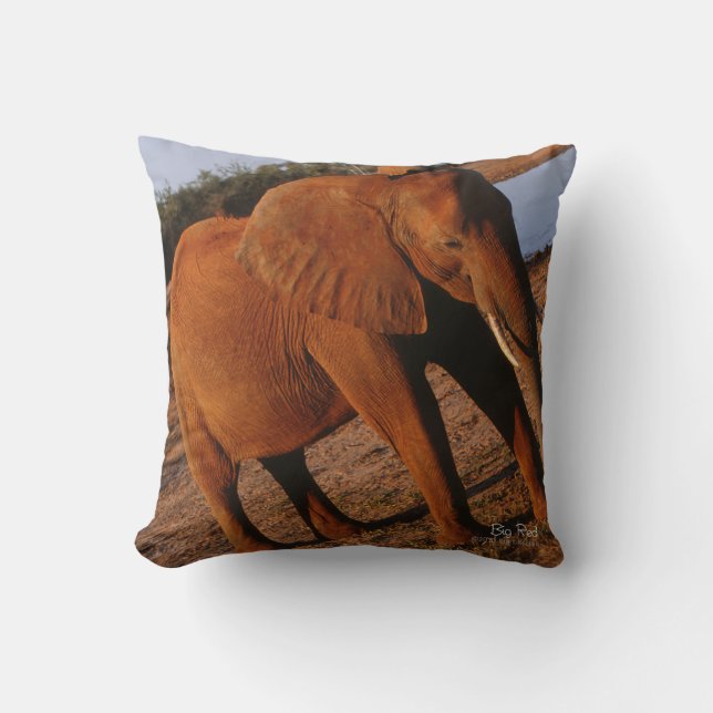 Big Red Kudde (Framsida)