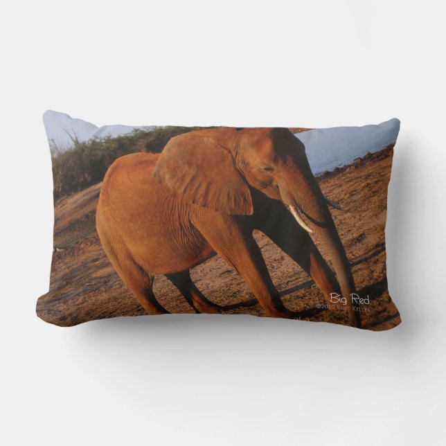 Big Red Lumbarkudde (Framsida)