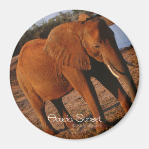 Big Red Magnet