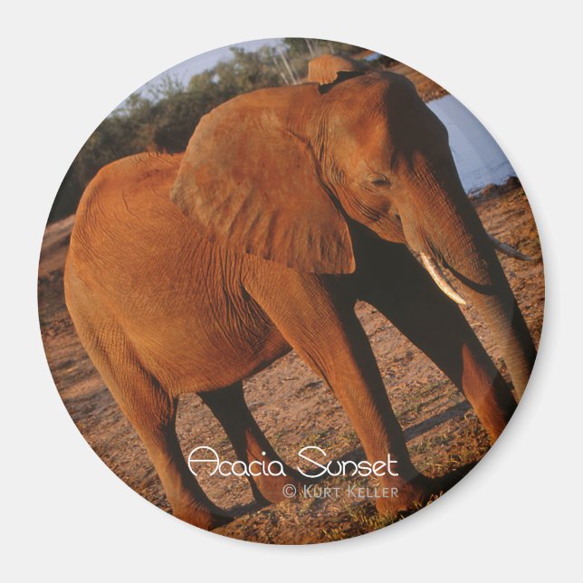 Big Red Magnet (Framsidan)