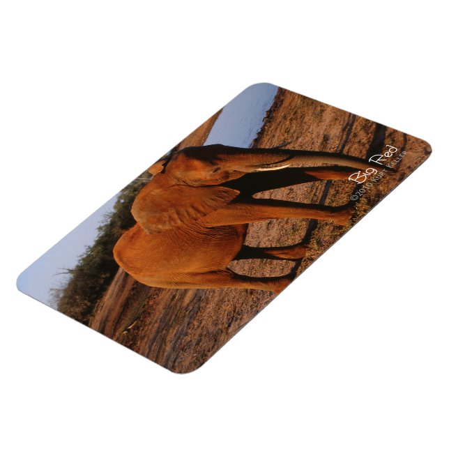 Big Red Magnet (Vänstra Sidan)