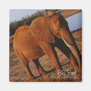Big Red Magnet