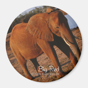 Big Red Magnet