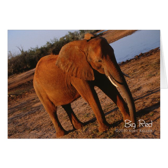 Big Red OBS Kort (Framsidan Horizontal)