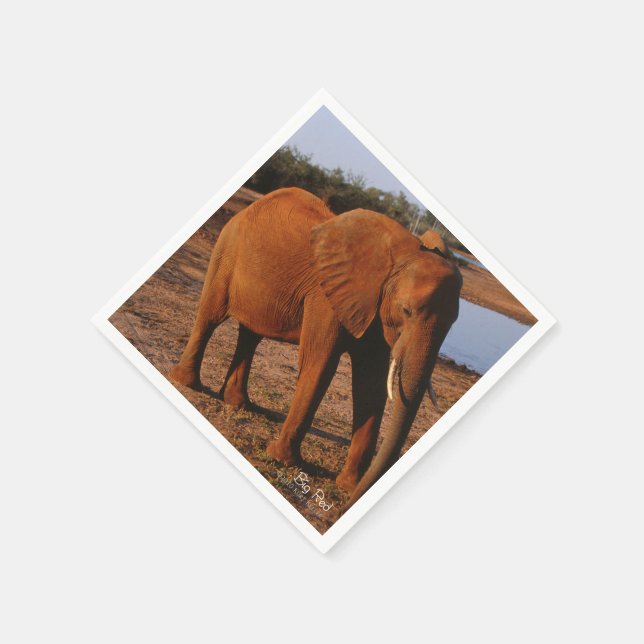 Big Red Pappersservett (Hörn)