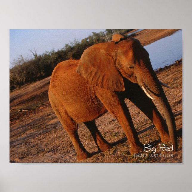 Big Red Poster (Framsidan)