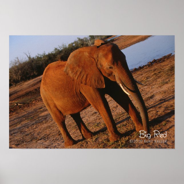 Big Red Poster (Framsidan)