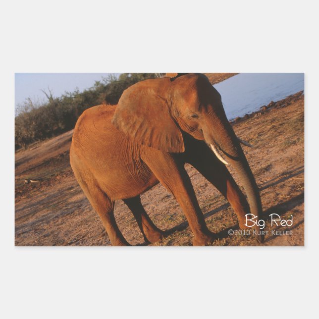 Big Red Rektangulärt Klistermärke (Framsida)