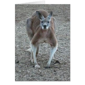 Big Red Roo Hälsningskort