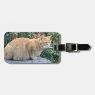 Big Red Tabby Bagagebricka