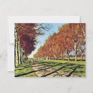 Big Road, Sunny Autumn Day Vykort