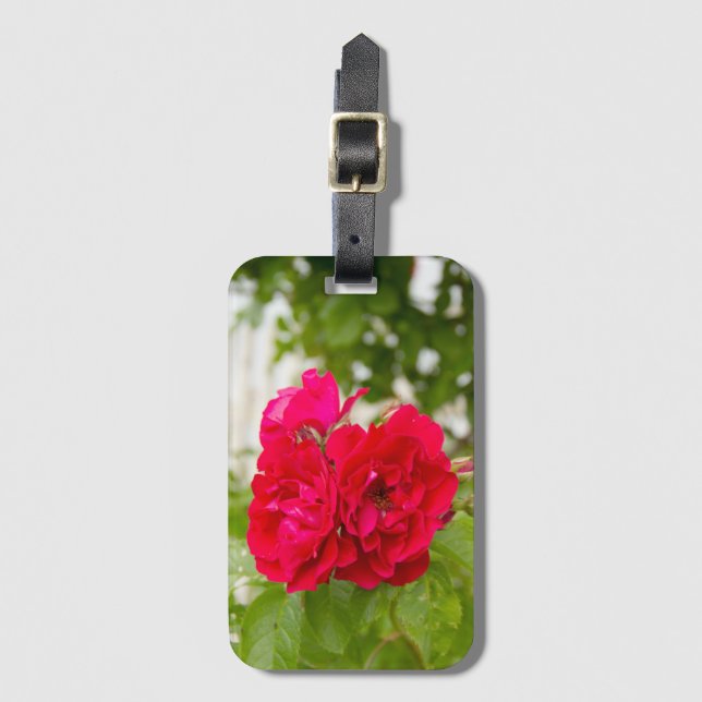 Big röd ros i trädgården bagagebricka (Framsida vertikal)