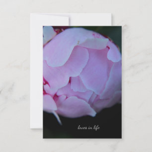 Big Rosa Peony Bud Anteckningskort